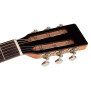 Richwood RP-27 Parlor Artist Series Gitara akustyczna