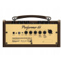 Wzmacniacz do gitary elektroakustycznej Richwood RPF-65
