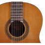 Salvador Cortez CC-10 rozmiar 3/4 Gitara Klasyczna