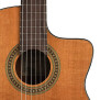 Salvador Cortez CC-10-CE Gitara Elektro-Klasyczna