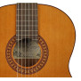 Salvador Cortez CC-22E Gitara Elektro-Klasyczna