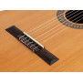 Salvador Cortez CC-22CE Gitara Elektro-Klasyczna