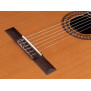 Gitara klasyczna 4/4 SALVADOR CORTEZ Artist CC-32 Premium Guitars
