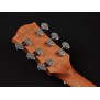 Gitara akustyczna Richwood A50-CE Master Series