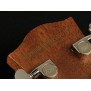 Richwood G65-CEVA Master Series Gitara elektro-akustyczna